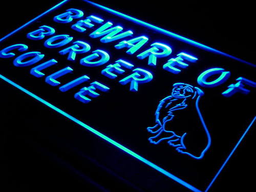 Beware of Border Collie Dog Pet Neon Light Sign